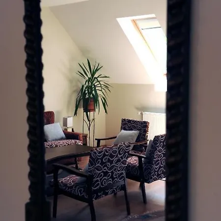 公寓 阿拉尼苏洛健康公寓酒店 *