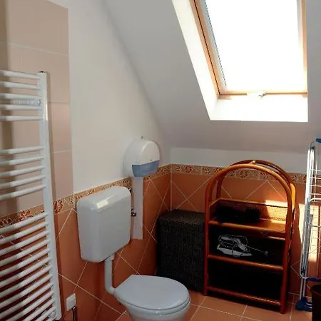 公寓 阿拉尼苏洛健康公寓酒店 Hévíz