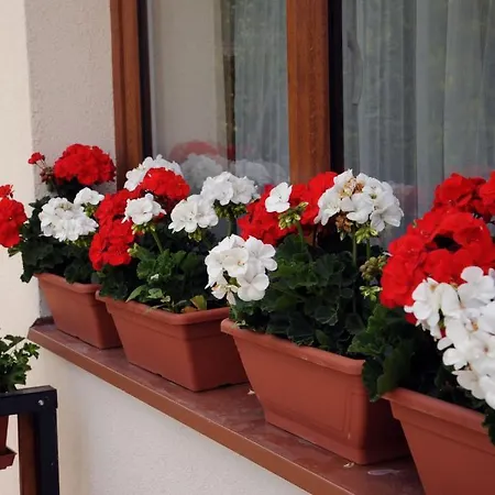 公寓 阿拉尼苏洛健康公寓酒店 Hévíz