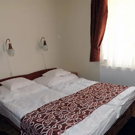 Arany Szolo Wellness Apartmanhaz شقة