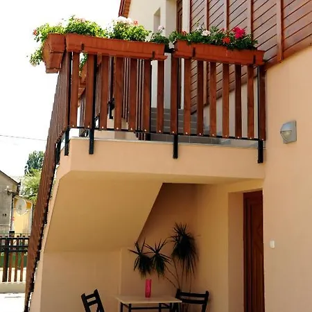 公寓 阿拉尼苏洛健康公寓酒店 Hévíz