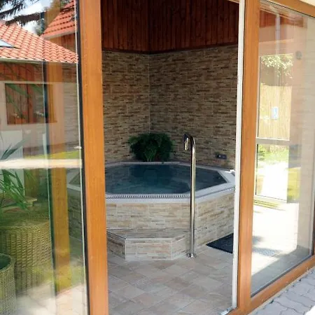 公寓 阿拉尼苏洛健康公寓酒店 Hévíz