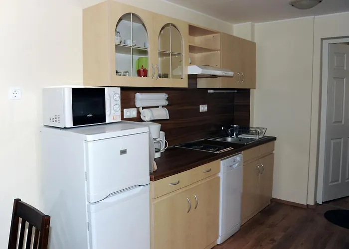 Arany Szolo Wellness Apartmanhaz *