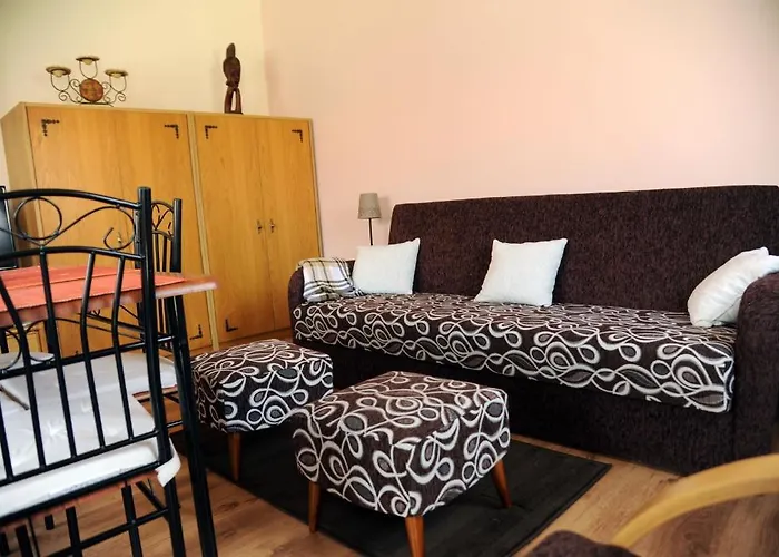 Arany Szolo Wellness Apartmanhaz Apartament *