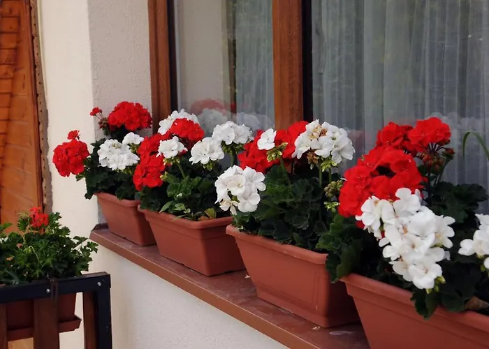 Apartment Arany Szolo Wellness Apartmanhaz Hévíz