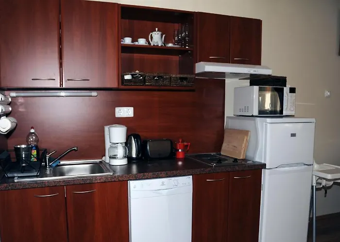 Arany Szolo Wellness Apartmanhaz * Heviz
