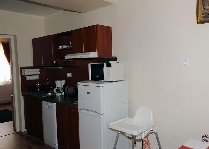 Arany Szolo Wellness Apartmanhaz Héviz