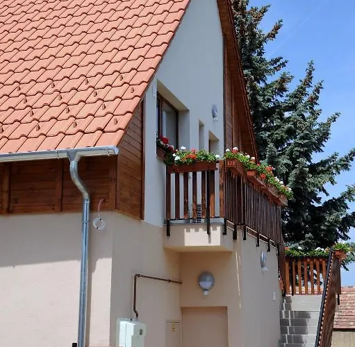 Arany Szőlő Wellness Appartamento
